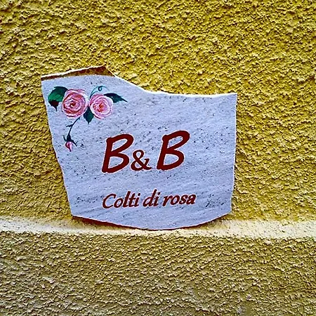 B&B Colti Di Rosa